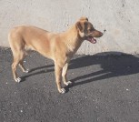 IMG-08b79efac80bffe16bb0e75df4592089-V