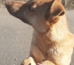 IMG-17594e7d388e50298f2828a5501ac403-V