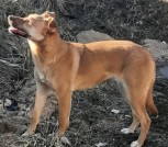 IMG-280215cc0c4fda0a409e5fa72f30bf95-V