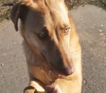 IMG-47754dbf0c99139f6133e41d466145df-V