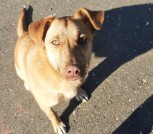 IMG-769e6285de3cd03077387bf48f9a6e9e-V