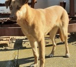 IMG-d52c7895cfbcda3502814075cea38383-V