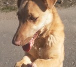 IMG-f37f1cfa0587e8f4ca2e11c8d7d596e1-V