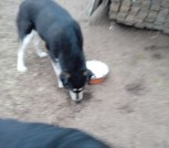 IMG_20220313_170123[1]