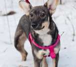 5A549D55-8D44-45FD-BFA8-BD50FA774FB8