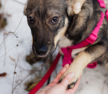 6C299C9F-2949-4660-AD0C-CE2C8631D8B5