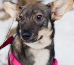 AA58EDB6-3DA1-4ADC-B5FD-261399B600CB