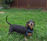 FB_IMG_1642682215016