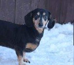 FB_IMG_1642682223167