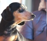 FB_IMG_1642682237054