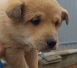 IMG-57df60a89dbc1783771d9132754b27e8-V