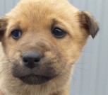 IMG-9239a923025905f60d96cf6d72c83eae-V