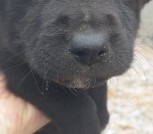 IMG-c8fb27948e8593a4a2e3cb8ee16e992f-V