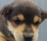 IMG-f0f730b68260019fc193e4b14b839f1c-V