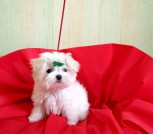 IMG_20180320_145933_HDR