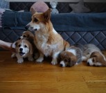 изображение_viber_2022-04-13_12-05-33-410