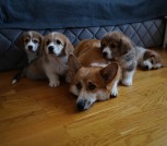 изображение_viber_2022-04-13_12-05-34-592