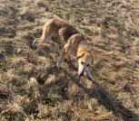 0ED5DC19-96C7-4060-98A2-CDE08AC83B05