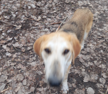 A92AA38D-2A13-4ADC-BC45-146DB811B810