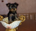 IMG-059b0903c4f997ba712ceaab678ae30e-V