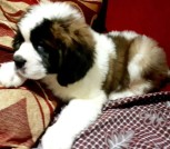 IMG_20220422_160049_940