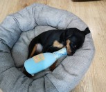 IMG-63b791a43bb4b2b62cdb41634800a020-V