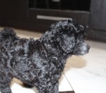 274499622_4961521643933993_6230612052700995712_n