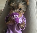 0IpObBFkYmBktkEVeuG5kSnNpJa4E70Z0KlD_4anVRizN6WzUxe8kQrj8mxH_lAZIdTUNxTxwkyUaNehXb009xI6