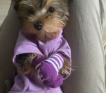 cMy9OYWCDQ_2PUCENW_jm6rkUwxIjjNNyqLdE_l50o3s7HYcE1RgYGBWtIOchkvQjILxqMRzrWqkoLWh5JkTTSQM