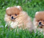 TYzkoYVEtu2xFph488Gcl8hEfWvhJVzxZpkQW6bAwIj4W1xweWGMJF5qb7FcpOReD6Q0z4cg1DTTiOxOA95lkU0c