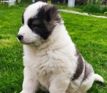 photo_2022-05-13_19-31-15