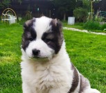 photo_2022-05-13_19-31-25