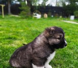 photo_2022-05-13_19-31-32