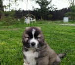 photo_2022-05-13_19-32-51