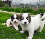 photo_2022-05-13_19-33-48