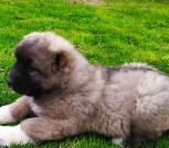 photo_2022-05-13_19-34-44