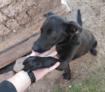 изображение_viber_2022-05-19_15-55-54-428