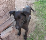 изображение_viber_2022-05-19_15-55-54-570