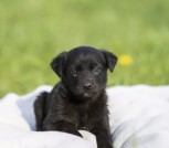 IMG_20220508_235436_639