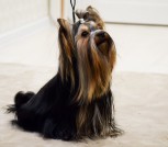 IMG-fe80073fc5746177969d8ce875ba308d-V