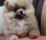 IMG-8f9345e2a887fbc966f8aa45a7aef9be-V