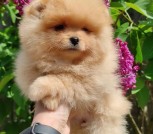 IMG_20220530_173218_225