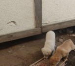 tmp-cam-2574334157743255703