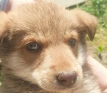 tmp-cam-2706472807635642847