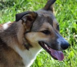 -de13Db_QN1YGxiDJPg2D4BbDvAiVyjDeD4LDy1p8PvkTPtvWj4rVps_NsrxmJJb55GUrlsWq--shpDPdMrtlE6M