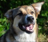 cuxfqpTo0ZpoNYX4JKvv952ZMdIvVU99UdZrNeDzbkybxhHIznyzYarGFxXSDqdFEN75sVRuIokrCWeSlxas1-UR