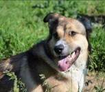 fivq1AKM_k_7MJ7dKoH3JrJpVkKmEgg8zu9w9YT8JuE0mEJWVOnBSWFdKCbaCOLnK32n3npPqrogk37ljUc1r7Bs