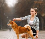 IMG-18b0d9d8e5be25c8bd6b4450866c5238-V