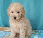 IMG-e37dad79c6baac8e122c6ac9d56133e2-V