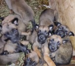 изображение_viber_2023-01-16_23-28-36-464